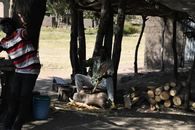 DSC_2925 (Large).JPG